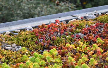 the cost of Skye Of Curr green roof installation