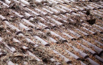 Skye Of Curr roof cleaning companies